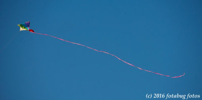 Go Fly A Kite!