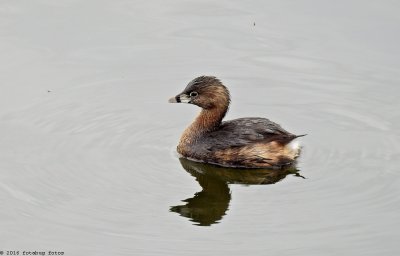 P900-030216-144.JPG