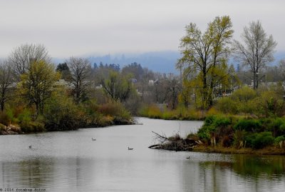 P900-031716-107.jpg