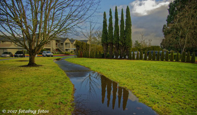 After the Rain!