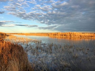 Last Sunlight over Mud Lake.jpg