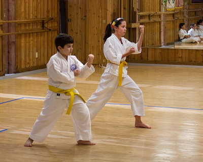 3143-Gold-to-Orange-Techniques.jpg