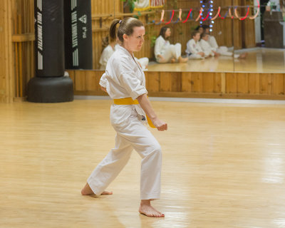 5640-White-to-Gold-to-Orange-Belt.jpg