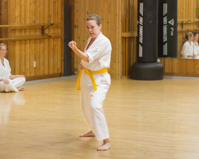 5703-White-to-Gold-to-Orange-Belt.jpg