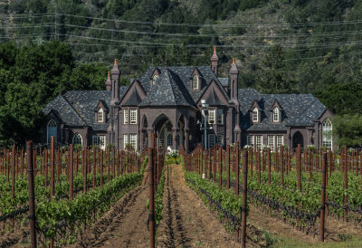 Ledson Vinyards
