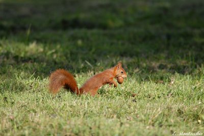 BSCG_0242.jpg