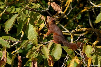 BSCG_0308.jpg