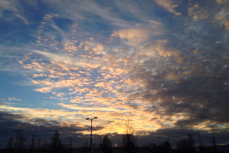 Sunset at the Maybird