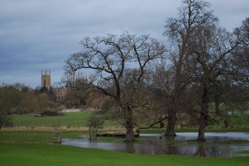 Remains of the floods