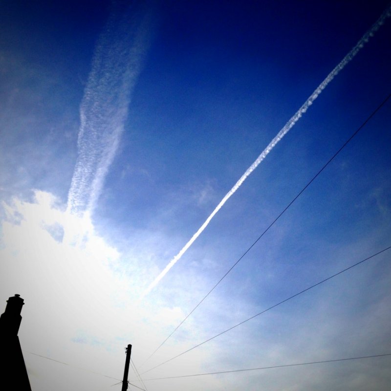 Lines