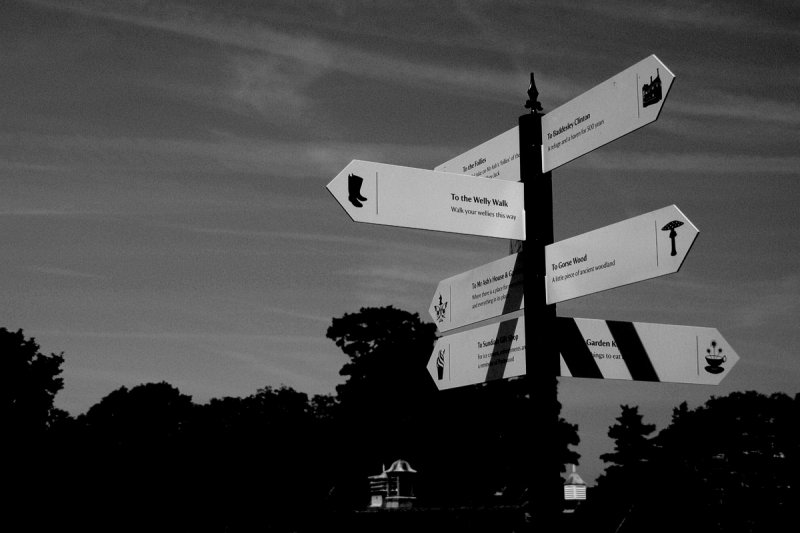 Which way?