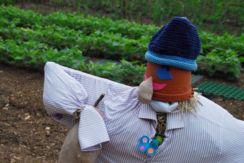 Scarecrow II