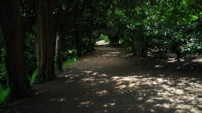 In the RSC Gardens