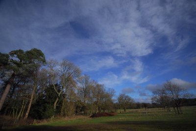 Big sky I