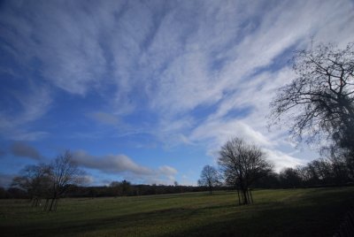 Big sky II