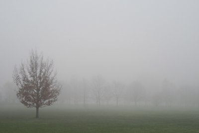 Stratford in the fog