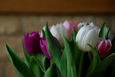 And all things rare28 March 2014 (684)