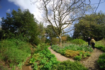 Babbling brook