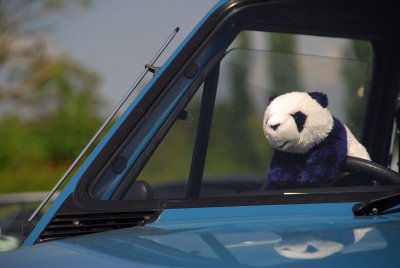 Panda in a Panda