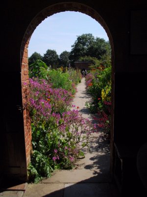 Through the arched door