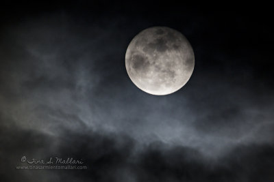 Haunting Moon