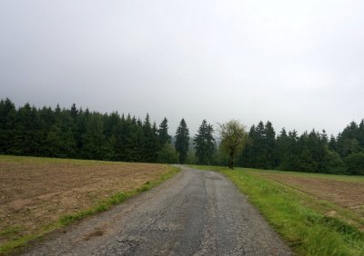...revealed that the original hamlet of Lsek is off the main road, thru some trees...