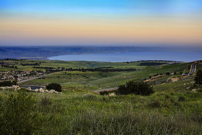 Israeli Landscape
