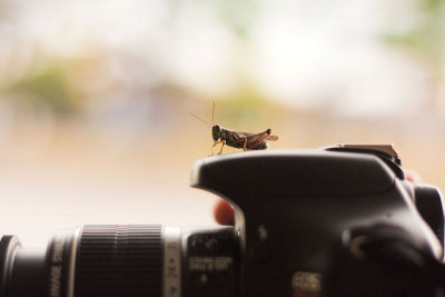 Makin' friends in photography class
