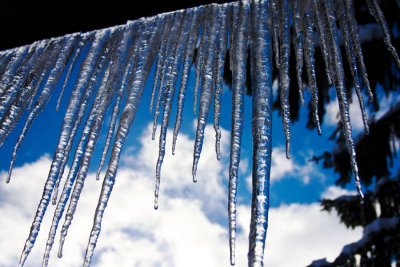 Icicles2 WEB.jpg