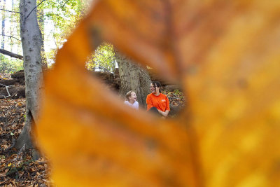 LeafFrameWeb1.jpg