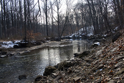 creek flow WEB.jpg