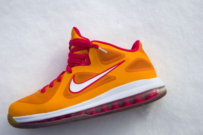 Lebron 9 Floridian