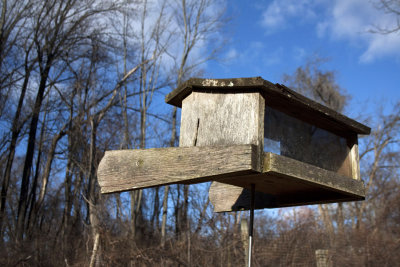 birdhouse2 WEB.jpg