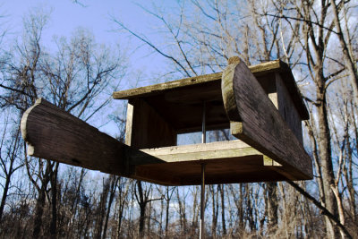 birdhouse5 WEB.jpg