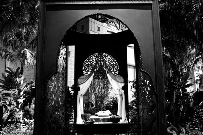 flowershow_1Web.jpg