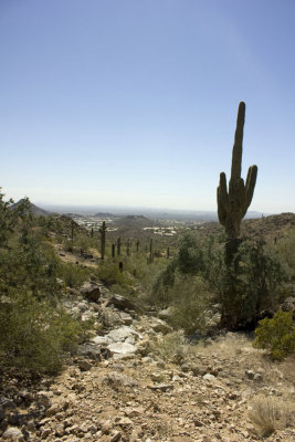 trail1web.jpg
