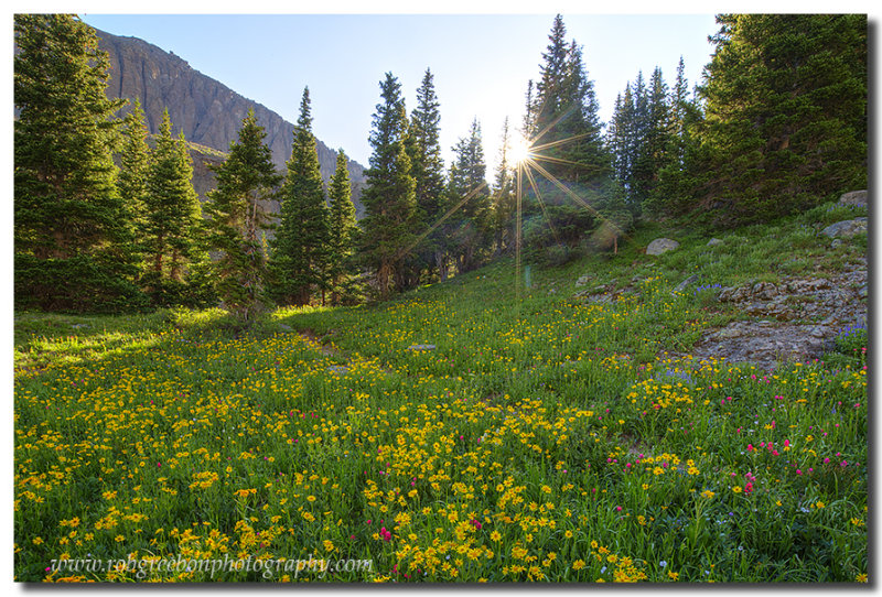Colorado Wildflowers and Blue Lakes Sunshine