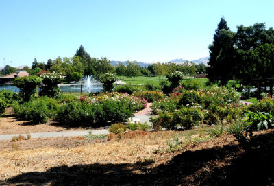 Heather Farm Gardens,Walnut Creek,CA