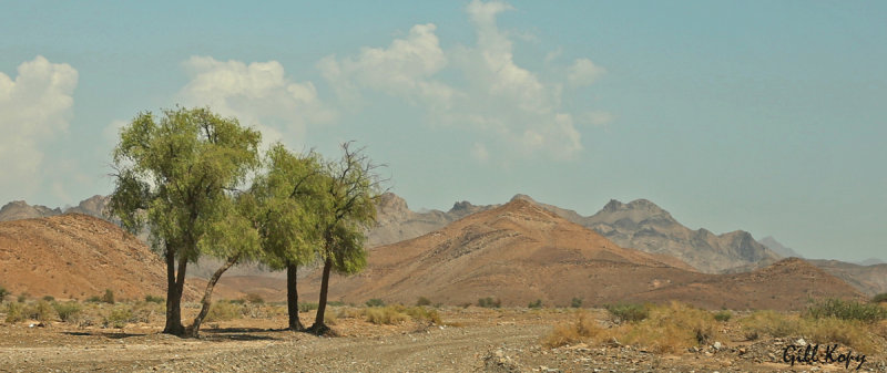 Desert landscape4.jpg