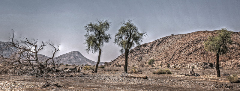 Desert landscape2.jpg