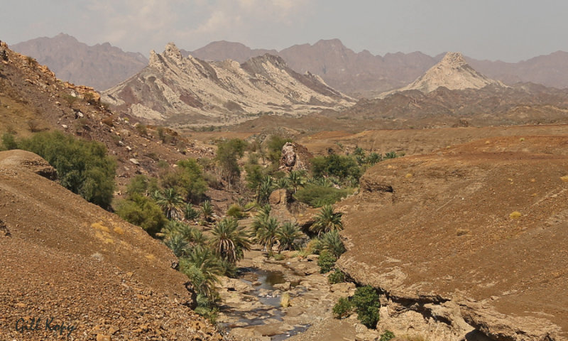 Desert River Oman.jpg