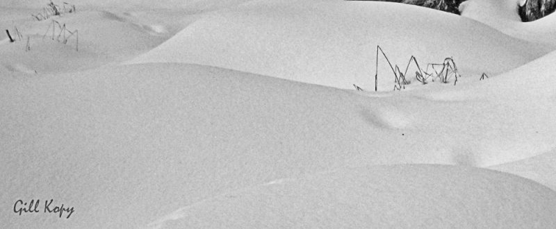 Snow dunes.jpg