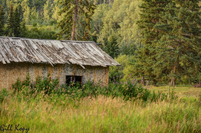 Agnes farm.jpg
