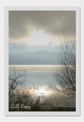 View from here.jpg
