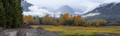 g9/66/866766/3/164366444.71brXwY8.jpg