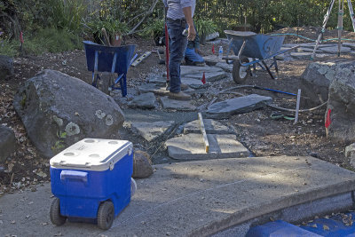 Portola Valley Garden Redo