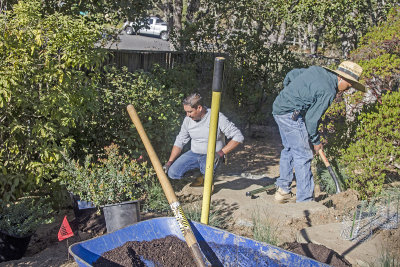 Portola Valley Garden Redo