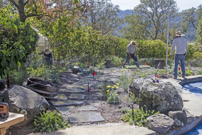 Portola Valley Garden Redo