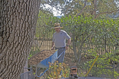 Portola Valley Garden Redo