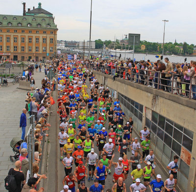 Stockholm Marathon 2013 